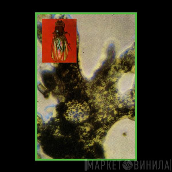 Barnum - Barnum