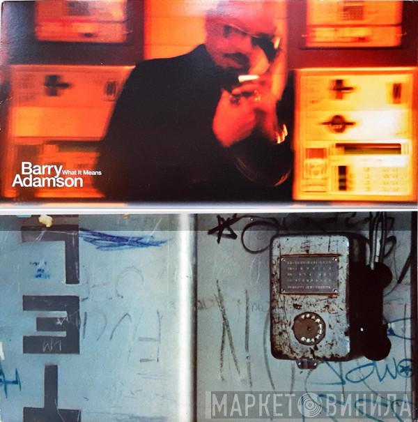  Barry Adamson  - What It Means