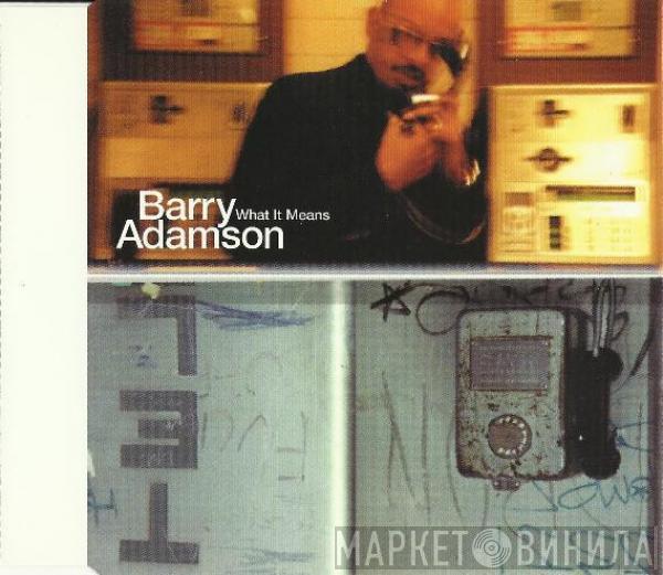  Barry Adamson  - What It Means