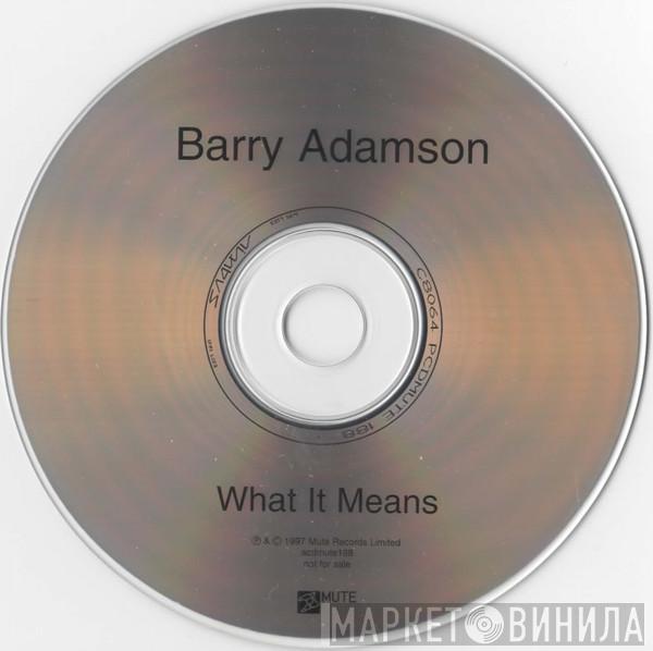  Barry Adamson  - What It Means