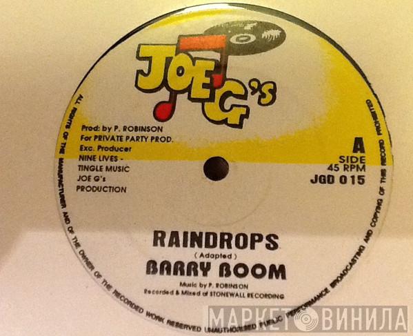 Barry Boom - Raindrops