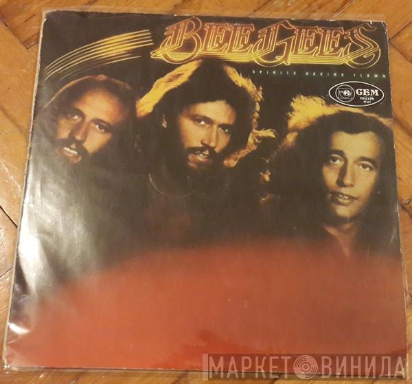  Bee Gees  - Spirits Having Flown