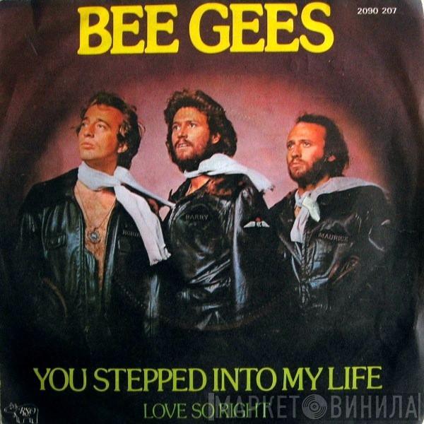  Bee Gees  - You Stepped Into My Life