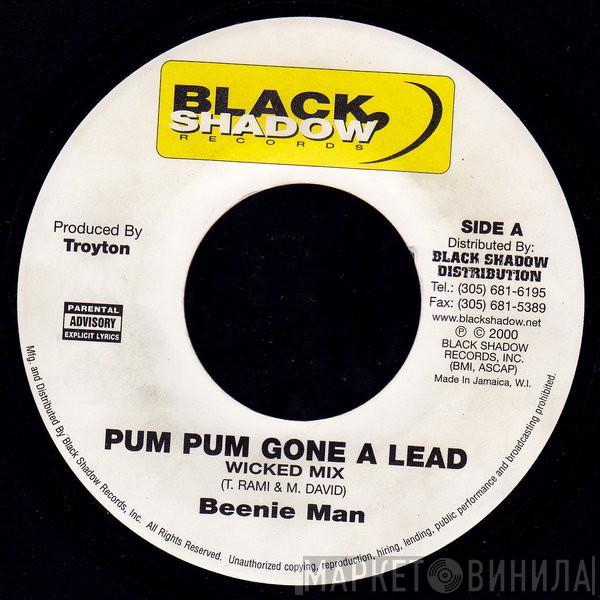 Beenie Man - Pum Pum Gone A Lead