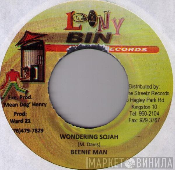 Beenie Man - Wondering Sojah