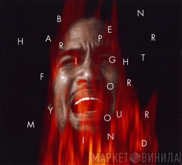  Ben Harper  - Fight For Your Mind