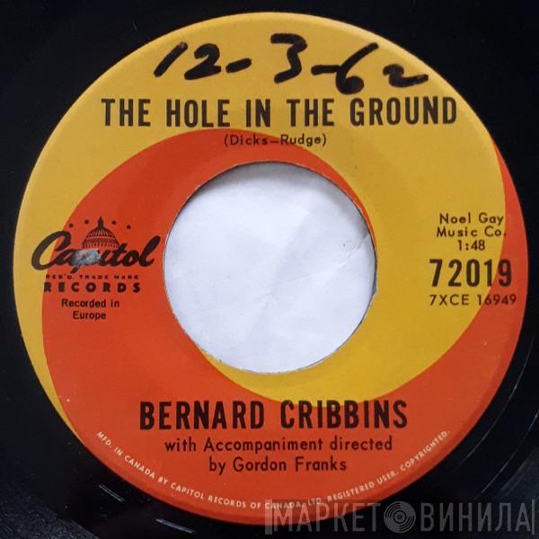  Bernard Cribbins  - The Hole In The Ground