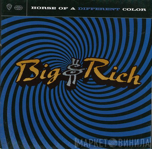 Big & Rich - Horse Of A Different Color