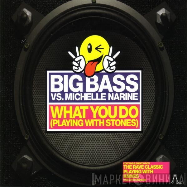 Big Bass, Michelle Narine - What You Do (Playing With Stones)
