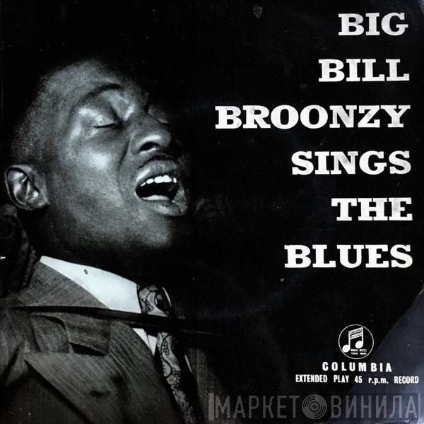  Big Bill Broonzy  - Big Bill Broonzy Sings The Blues