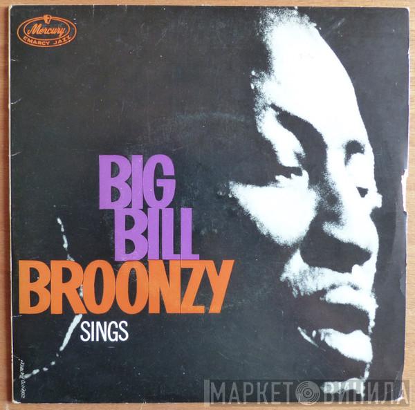  Big Bill Broonzy  - Big Bill Sings