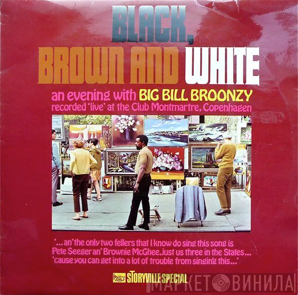 Big Bill Broonzy - Black, Brown And White