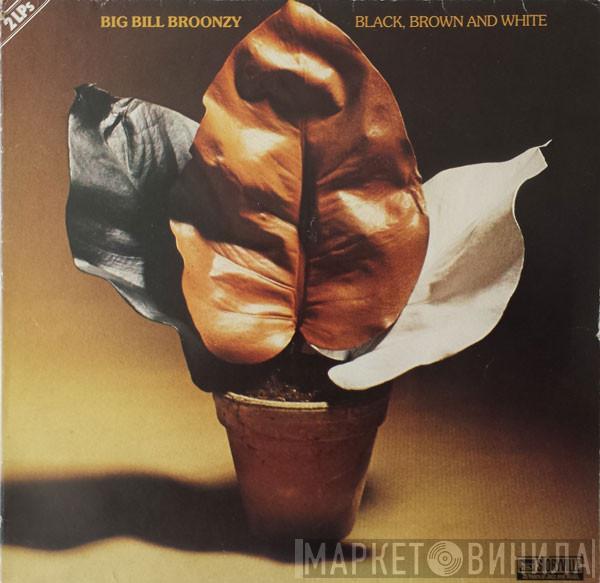  Big Bill Broonzy  - Black, Brown And White