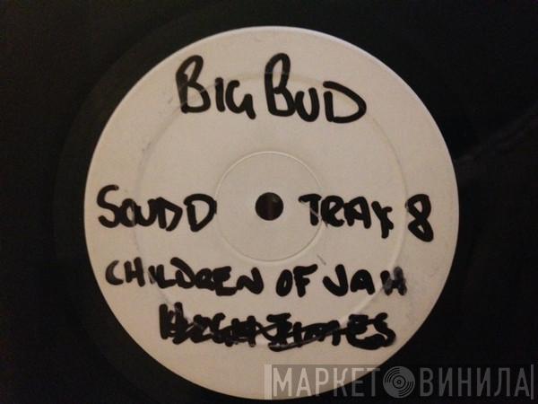 Big Bud - Fear Of Flying (Album Sampler 1)