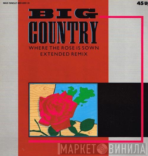  Big Country  - Where The Rose Is Sown
