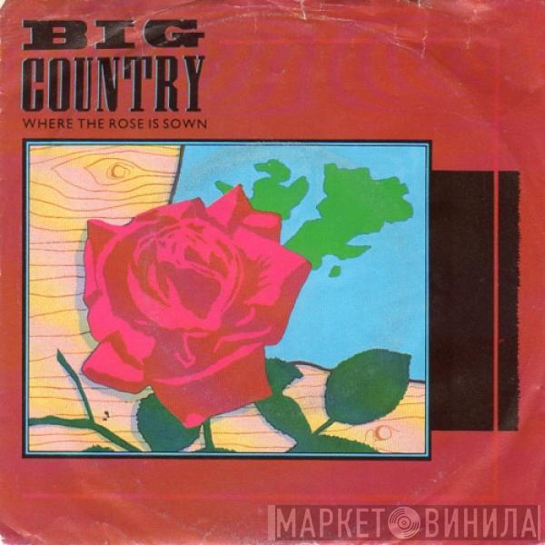 Big Country  - Where The Rose Is Sown