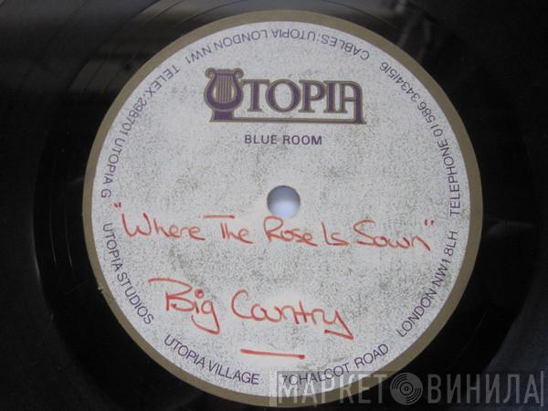  Big Country  - Where The Rose Is Sown
