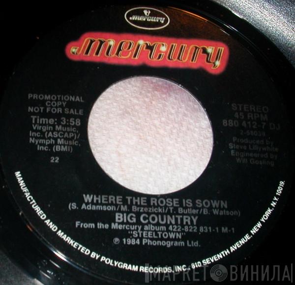  Big Country  - Where The Rose Is Sown