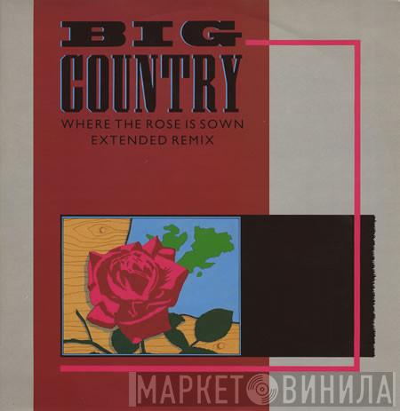  Big Country  - Where The Rose Is Sown