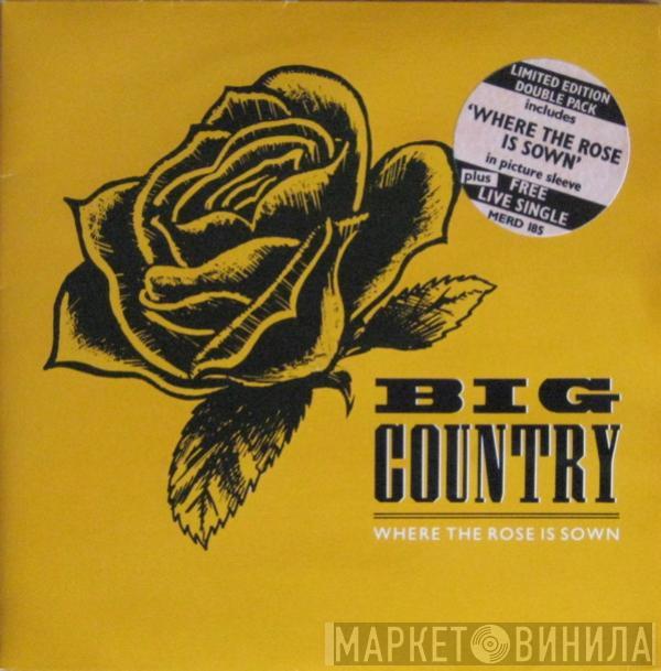  Big Country  - Where The Rose Is Sown