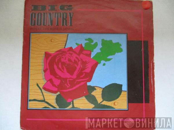  Big Country  - Where the Rose Is Sown