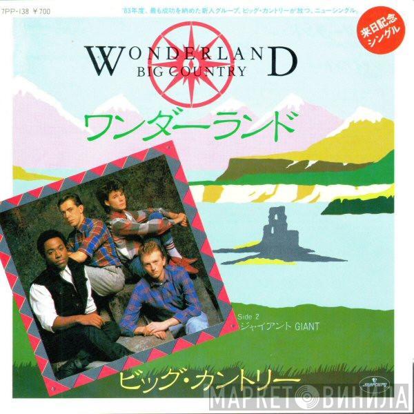  Big Country  - Wonderland
