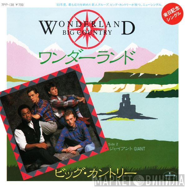  Big Country  - Wonderland