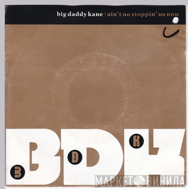  Big Daddy Kane  - Ain't No Stoppin' Us Now