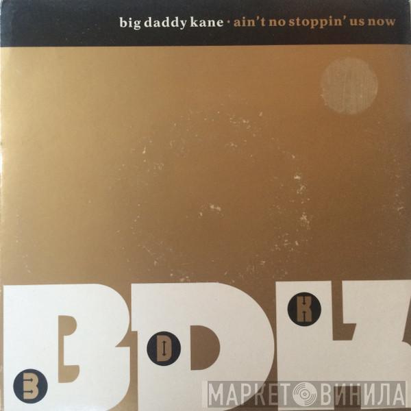 Big Daddy Kane - Ain't No Stoppin' Us Now
