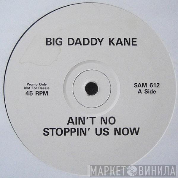 Big Daddy Kane - Ain't No Stoppin' Us Now