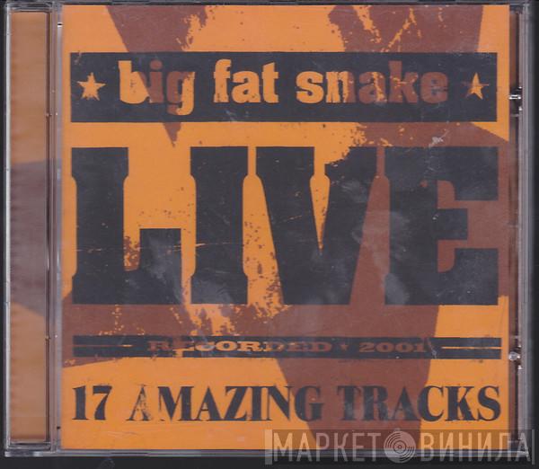  Big Fat Snake  - Live