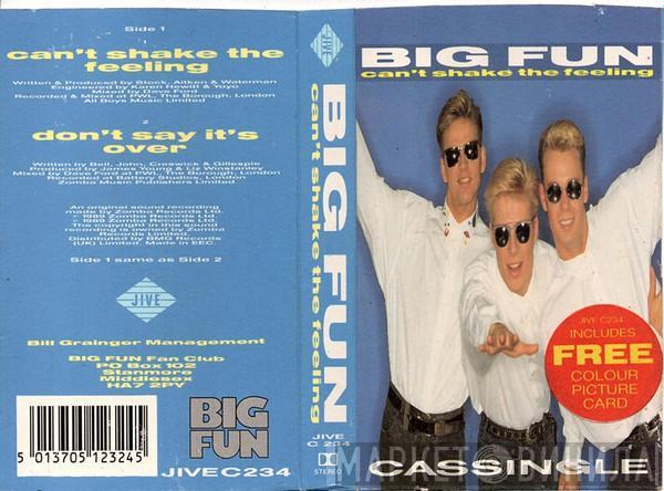  Big Fun  - Can't Shake The Feeling
