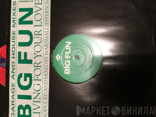  Big Fun  - Living For Your Love