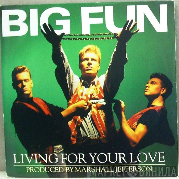 Big Fun  - Living For Your Love