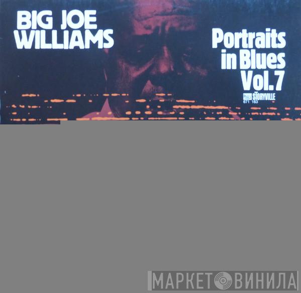  Big Joe Williams  - Portraits In Blues, Vol. 7
