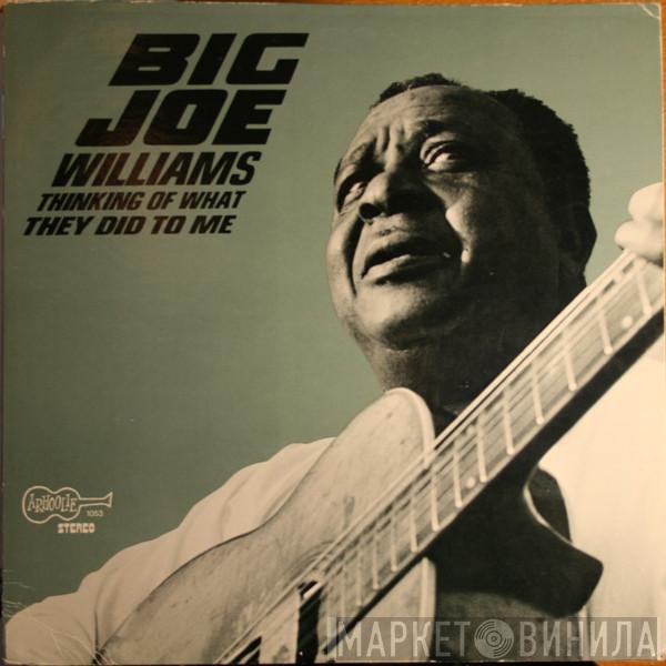  Big Joe Williams  - Thinking Of What They Did To Me