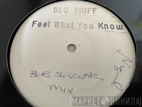 Big Muff - Feel What You Know