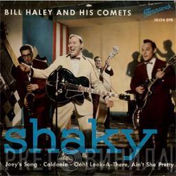  Bill Haley And His Comets  - Shaky