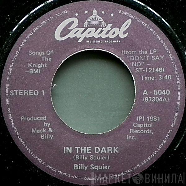  Billy Squier  - In The Dark