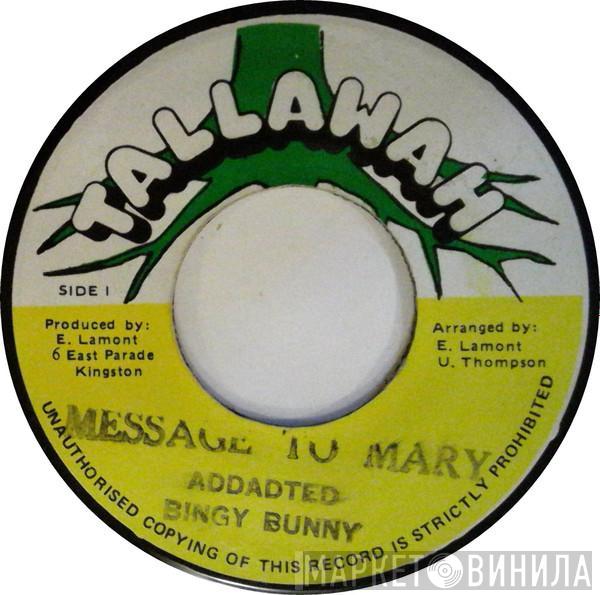 Bingy Bunny - Message To Mary
