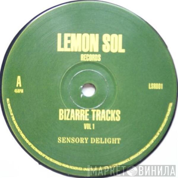  Bizarre Tracks  - Bizarre Tracks Vol 1