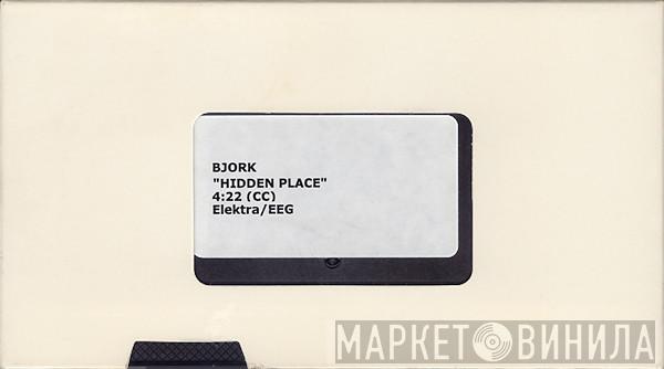  Björk  - Hidden Place
