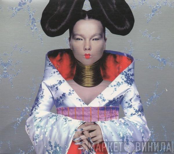 Björk  - Homogenic