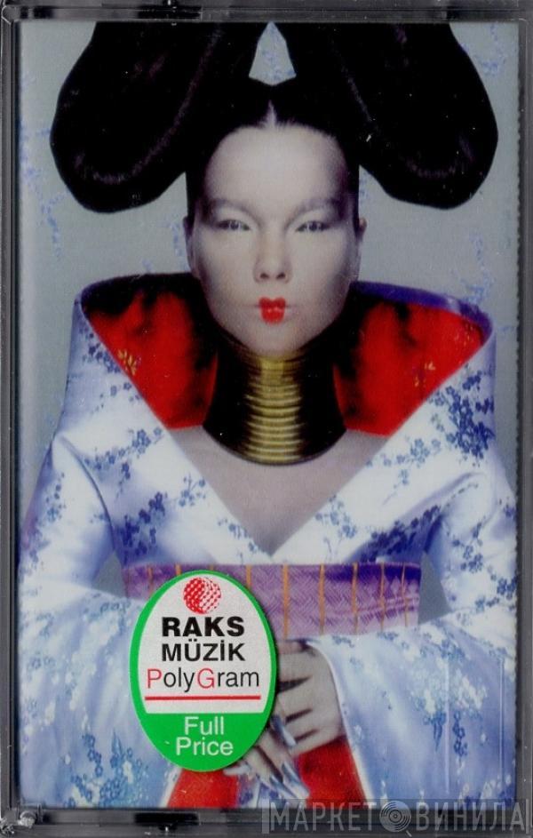  Björk  - Homogenic