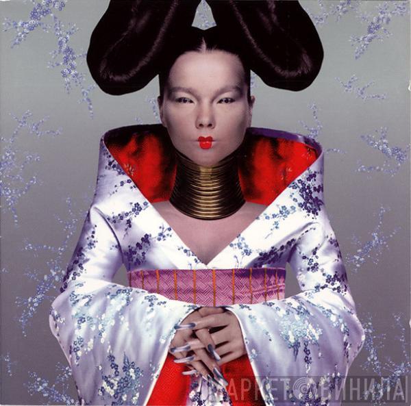  Björk  - Homogenic