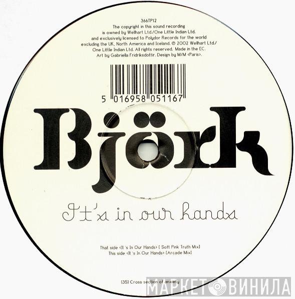  Björk  - It's In Our Hands