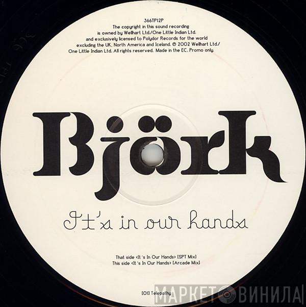  Björk  - It's In Our Hands