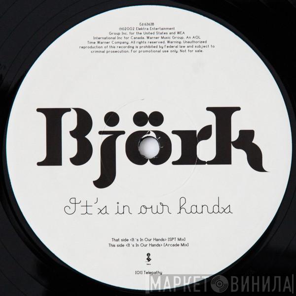  Björk  - It's In Our Hands