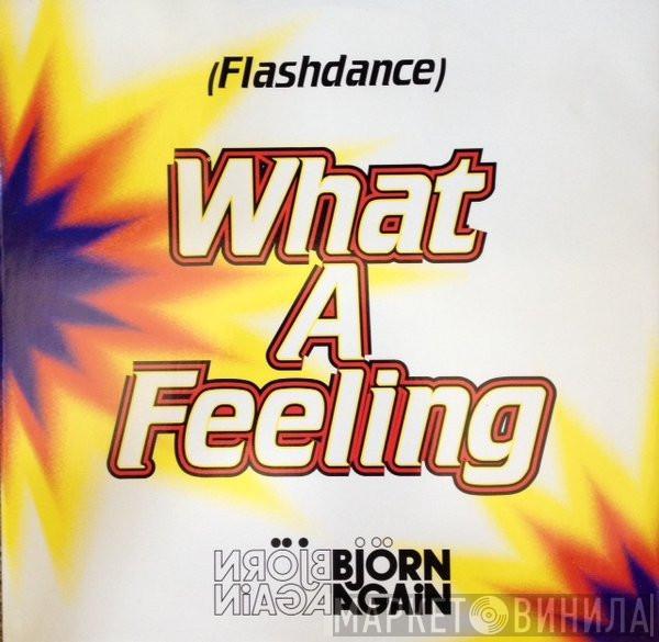 Bjorn Again - (Flashdance) What A Feeling
