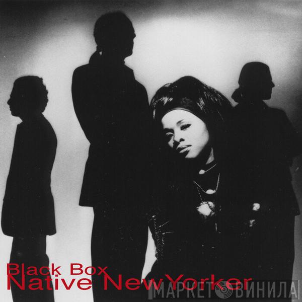  Black Box  - Native New Yorker